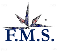 Limited Company F.M.S. Consulting S.R.L. logo