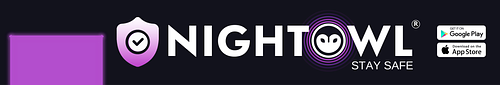 NightOwl  logo